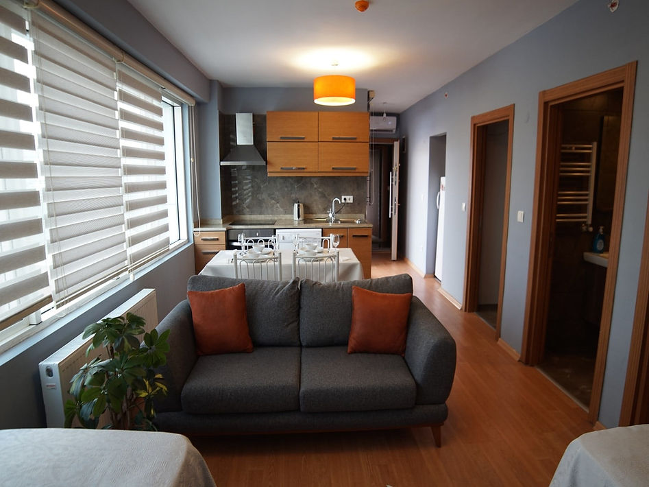 🛋️ Gri Koltuklu Oturma Odası